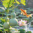 孙师傅