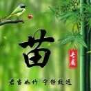 苗师傅
